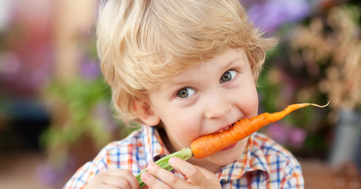 Puu- ja köögiviljad võivad vähendada karmi haiguse tekkimise ohtu
