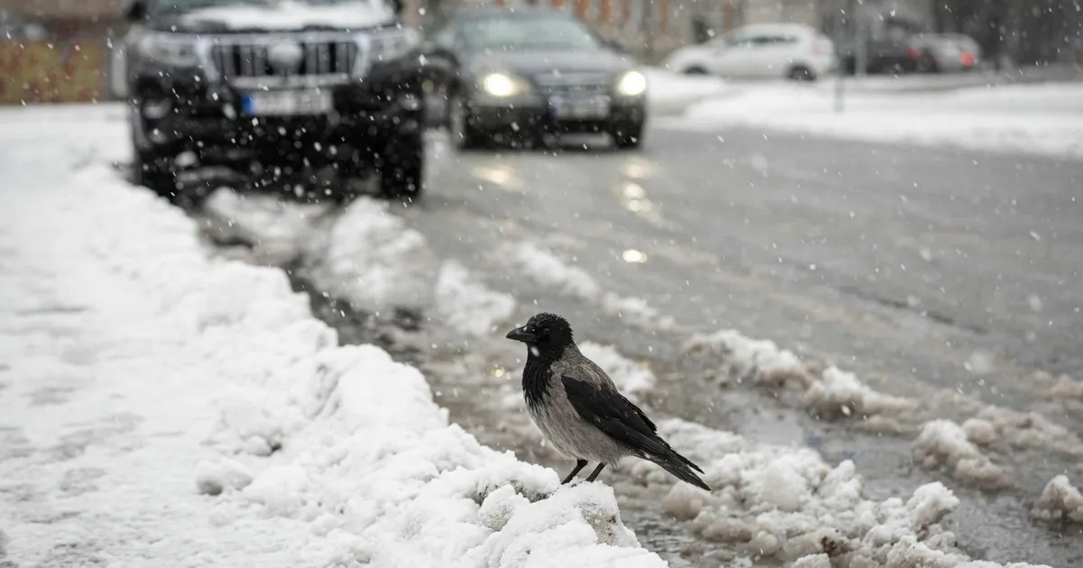 Kolmapäeval sajab vihma, lörtsi ja lund