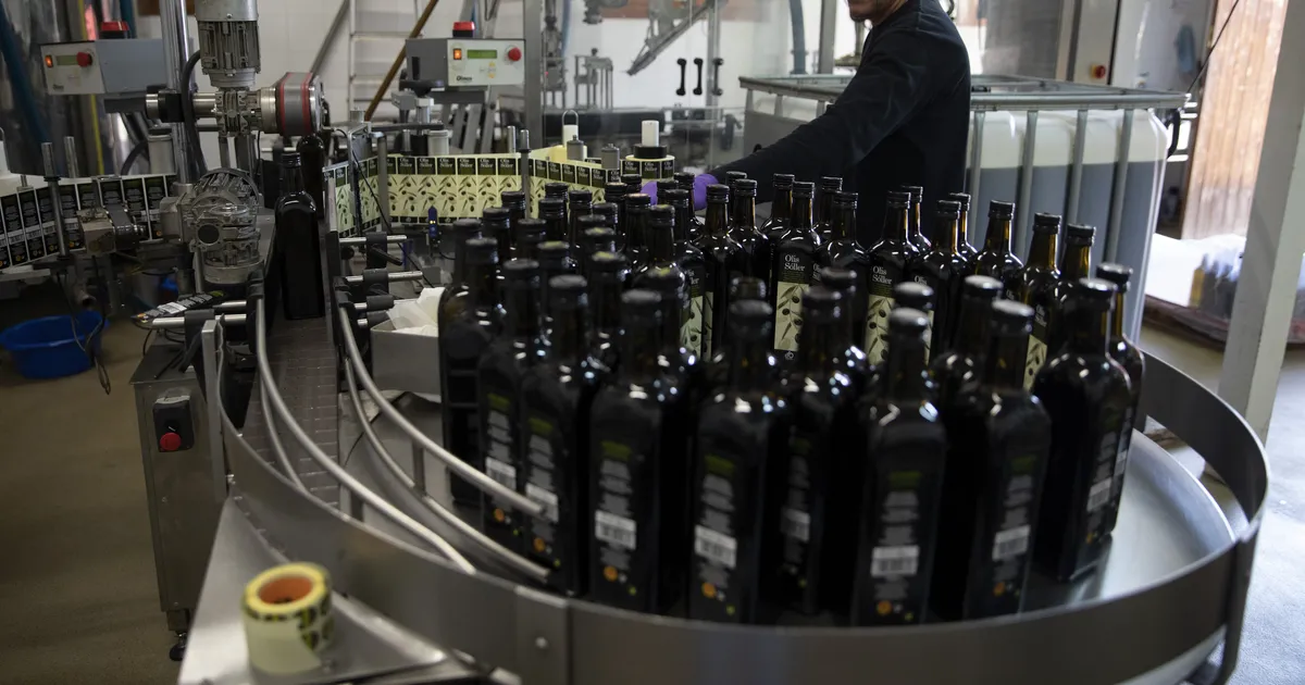 HEA UUDIS TARBIJATELE ⟩ Oliiviõli hind võib peagi järsult kukkuda