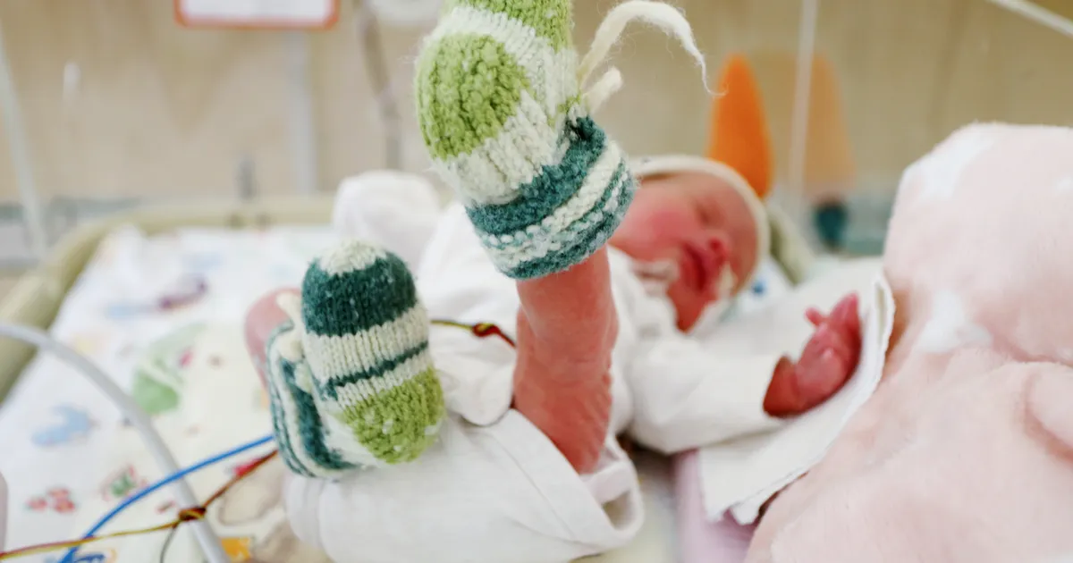 Mullu sündis ligi sada väikest tartlast vähem kui aasta varem