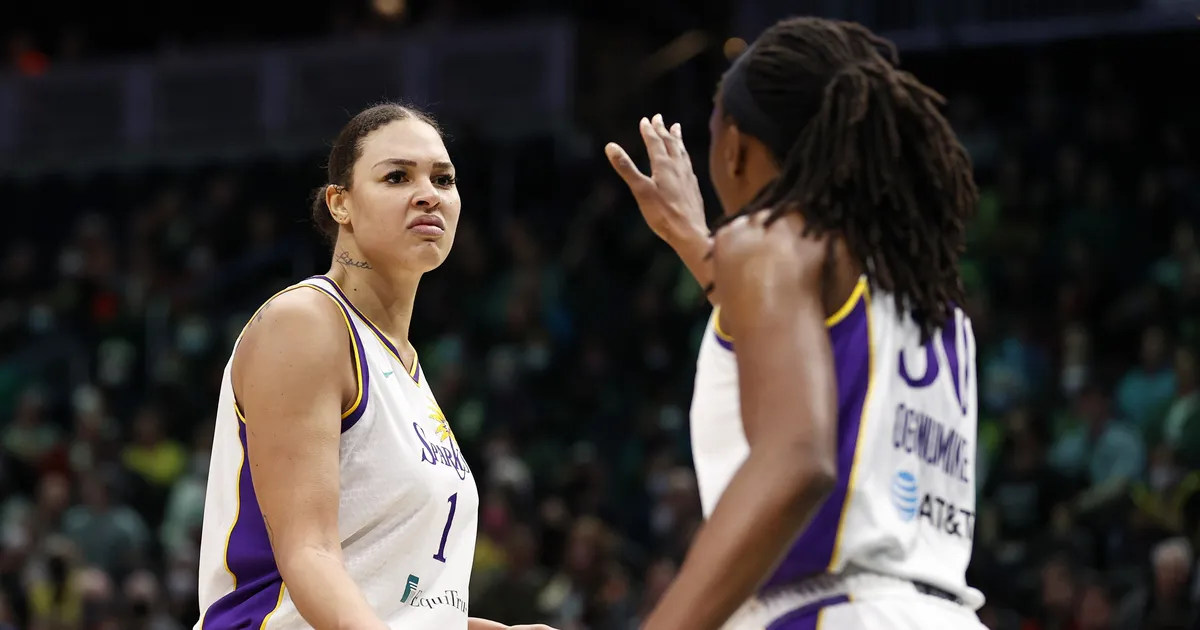 Karm reaalsus: korvpallitäht teenis täiskasvanute portaalis nädalaga enam kui kuue aastaga WNBAs