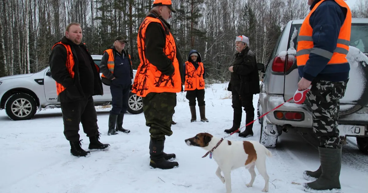 Viiel ohjamisalal on huntide küttimismaht täis