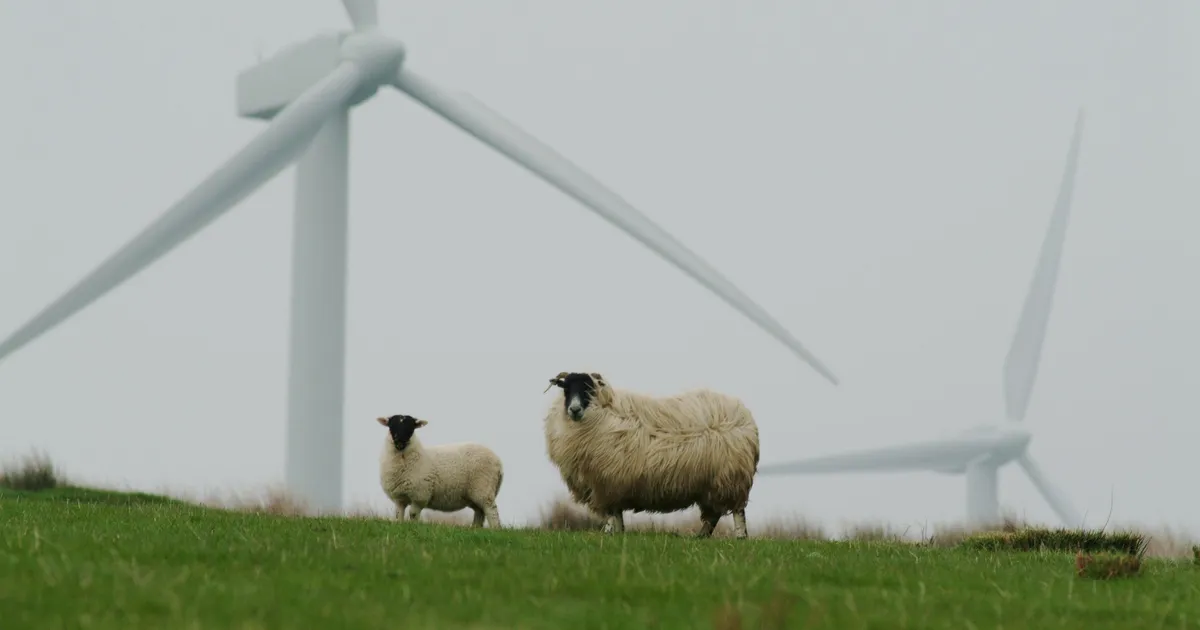 ARVAMUS ⟩ Tuul on siiski armastusväärne nagu kogu looduski