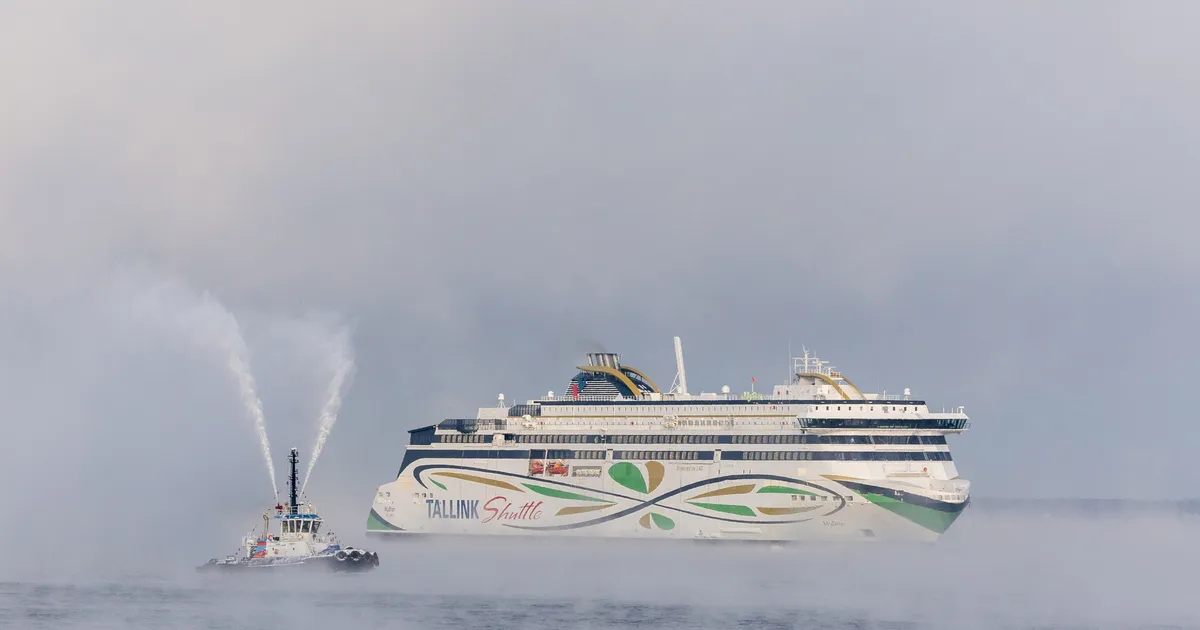 Igal laevafirmal sigarettide müümises oma poliitika