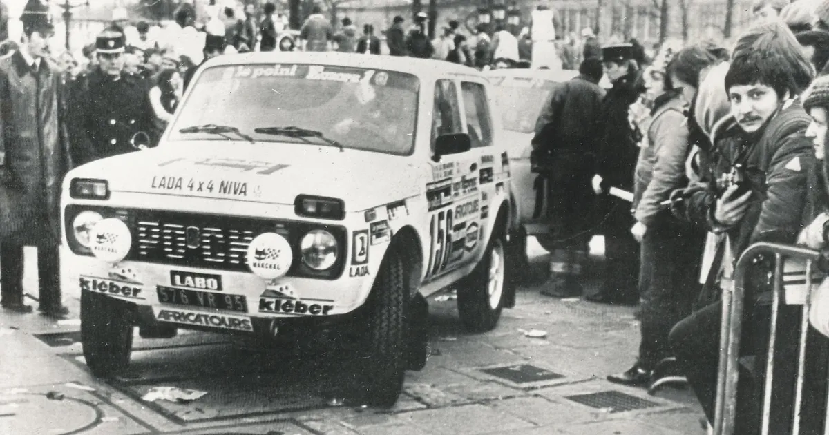 Juurikas. Kuidas vana Nivat timmida ja putitada