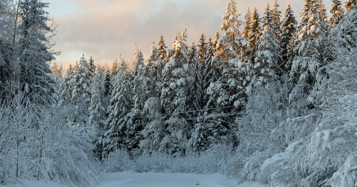 Täna möödus 85 aastat Eesti kuulsaimast ilmarekordist, mille kordumist küll ei taha