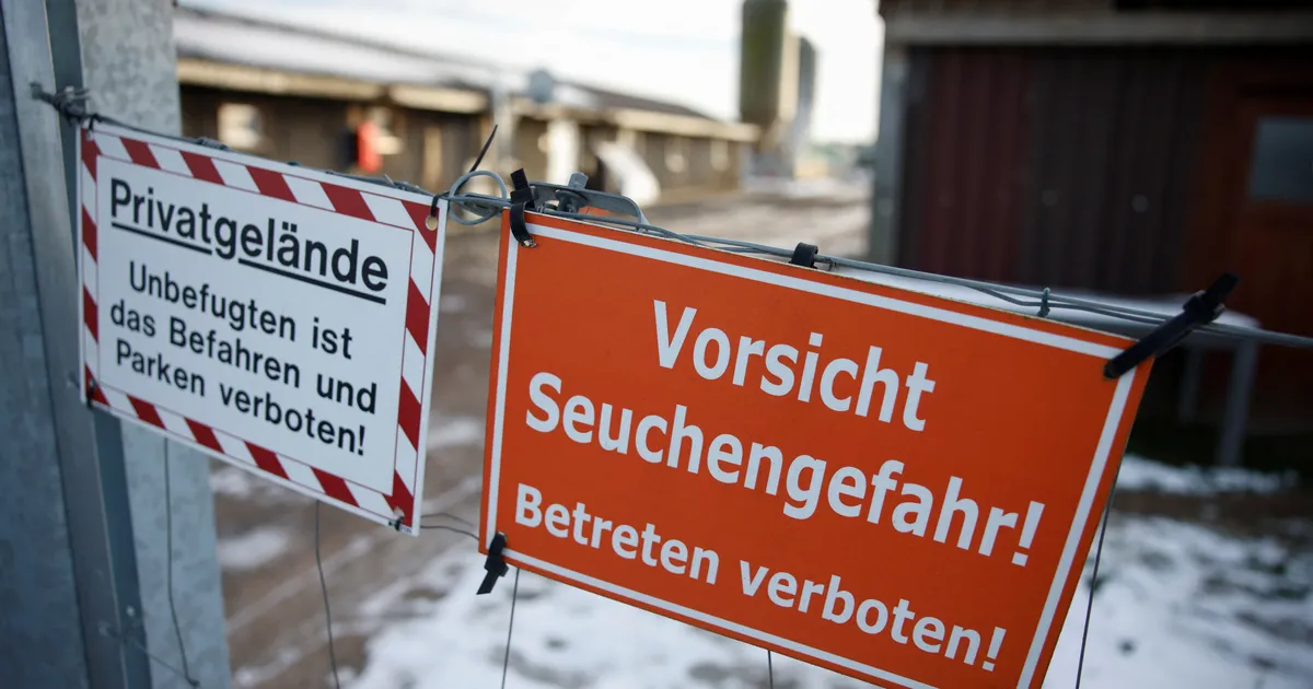 PTA: hoiame Saksamaa suu- ja sõrataudi juhtumil silma peal