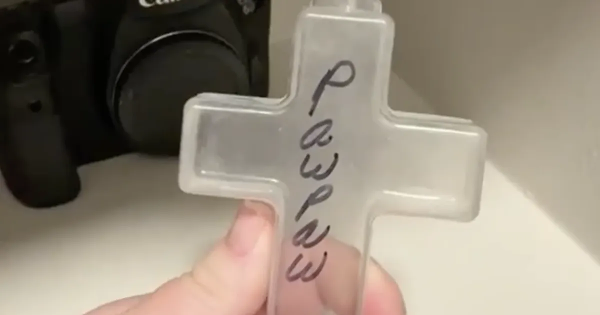 VIDEO ⟩ Surnud vanavanaisa tuhaga mänginud poisid pistsid osa leiust pintslisse