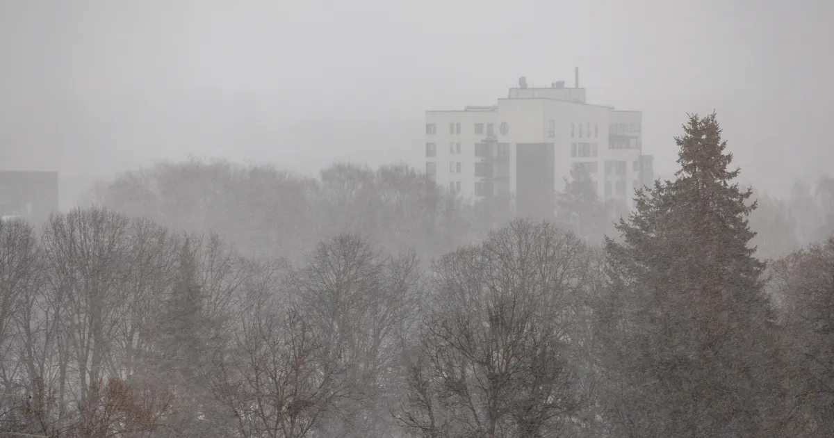Lähipäevil jätkub plusskraadidega pehme talveilm
