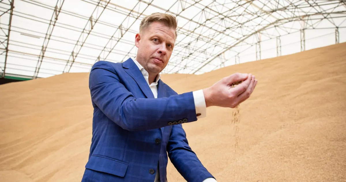 Põllumeeste jahmatus: korralik põllumaa lubatakse puupõlluks muuta!