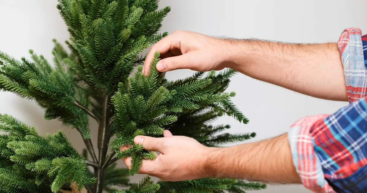 LIIGA HEA, ET OLLA TÕSI ⟩ Rimis müüdava jõulukuuse hind tekitab küsimusi. Pood: lõpumüükide eesmärk on kaupadest lahti saada