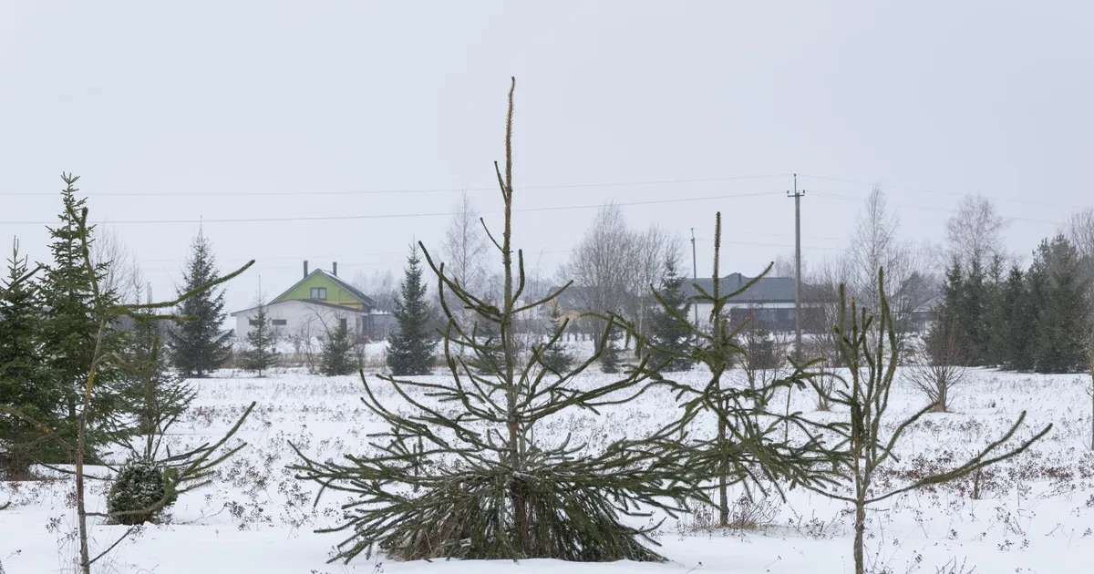 Kadrina võib hävitada mehe elutöö