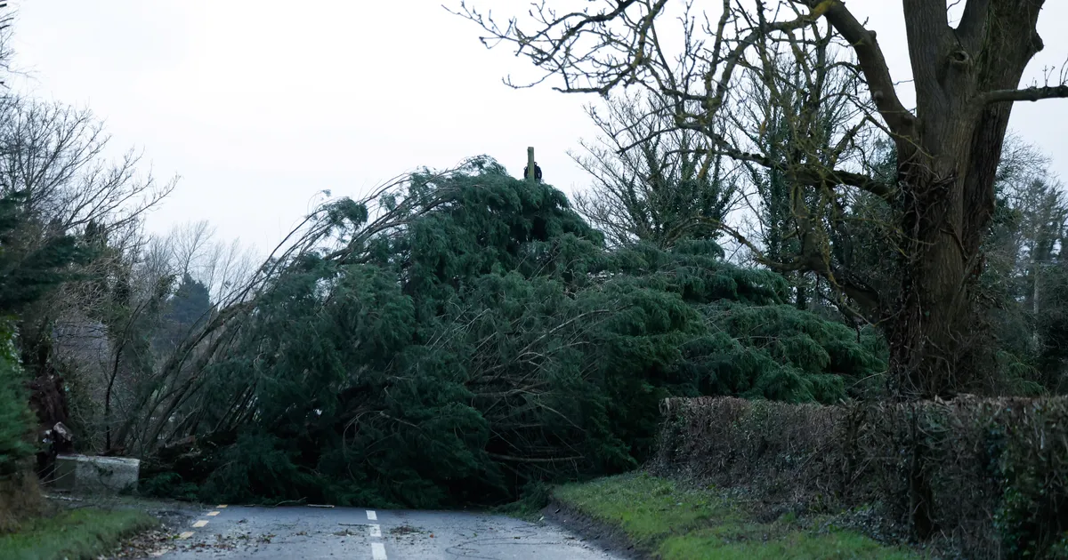 ERIOLUKORD ⟩ Iirimaal möllab rekordilise tuulekiirusega torm – ilmateenistus hoiatab kaose ja hävingu eest