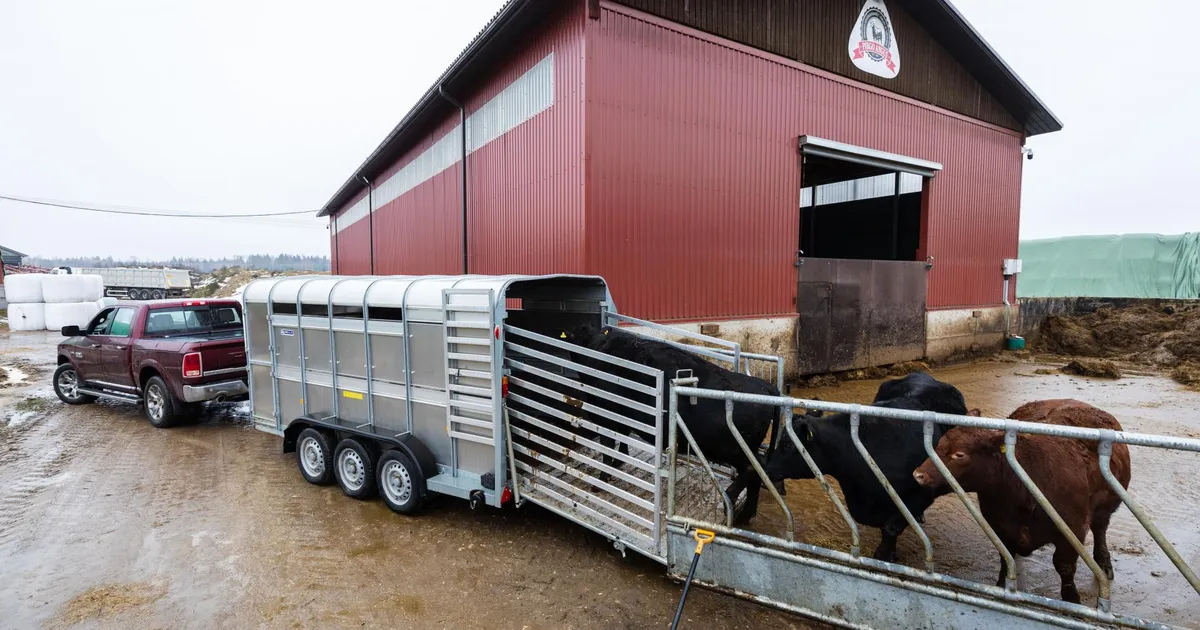 KAART ⟩ Hambad ristis edasi: automaks võtab hingetuks nii inimesed kui ka nende rahakoti