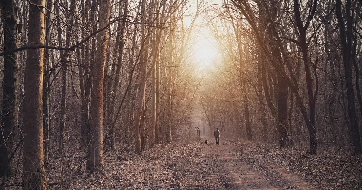 Ameerika üliõpilane läks koeraga parki jalutama ja kadus, surnukeha leiti neli päeva hiljem