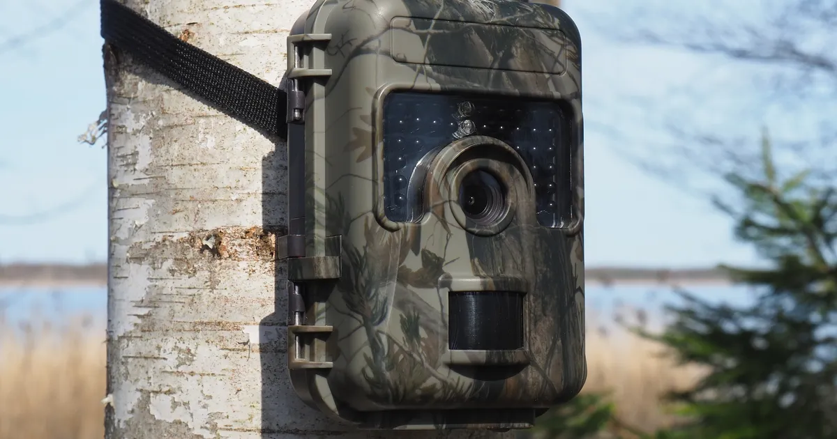 HARULDANE VIDEO ⟩ Rajakaamera ette jäi loom, keda keegi ei suuda tuvastada