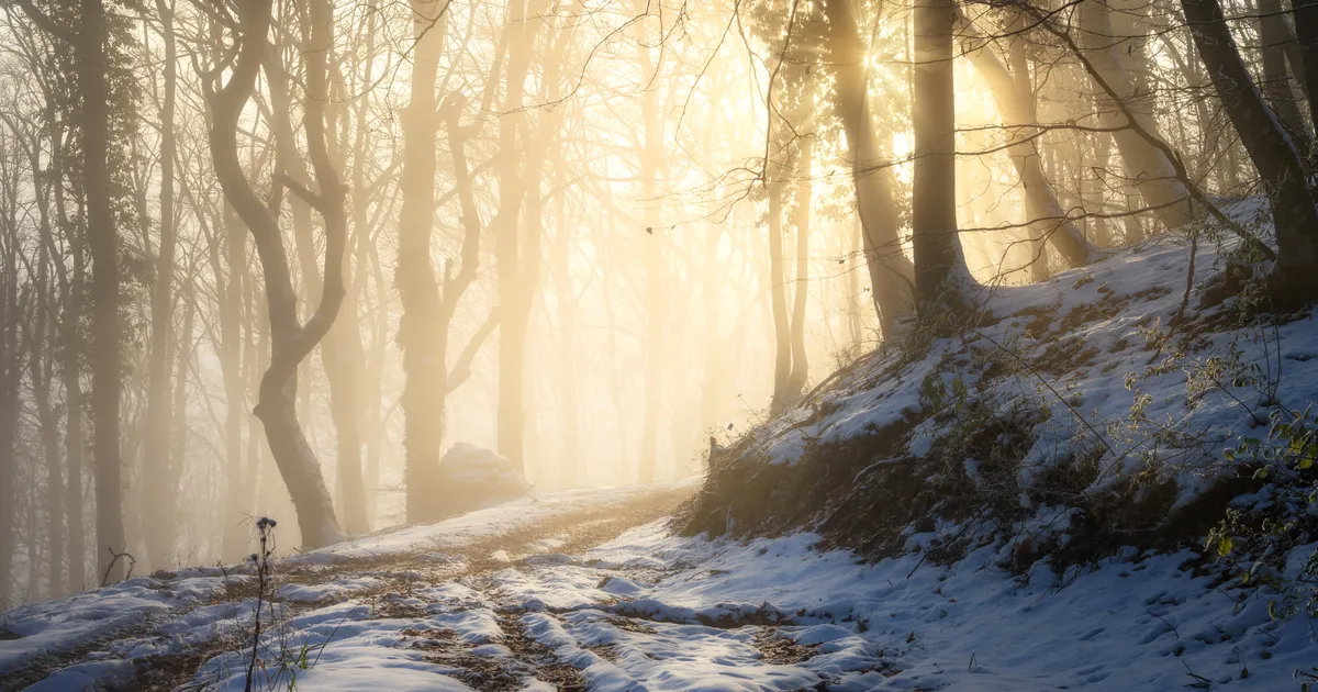 NÄDALAPROGNOOS ⟩ Maoaasta algab erilise kingitusega: pange tähele, mida nädalalõpp toob