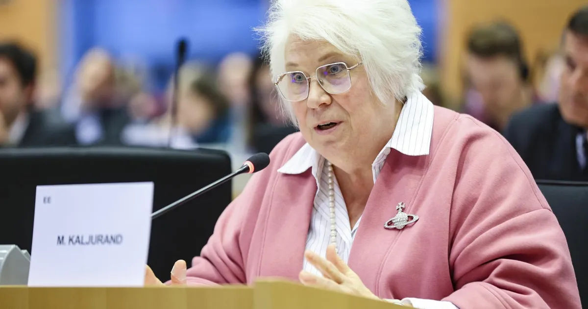 INTERVJUU ⟩ Kaljurand: džihadistliku postitusega võib kimpus olla ka tikkijate ring