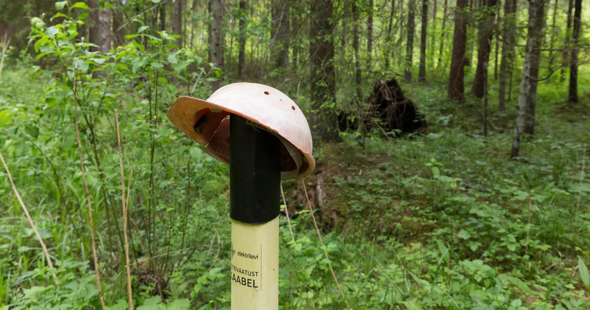 Peaministri sõnul lõpetab Elektrilevi Valgevene päritolu kaablite kasutamise