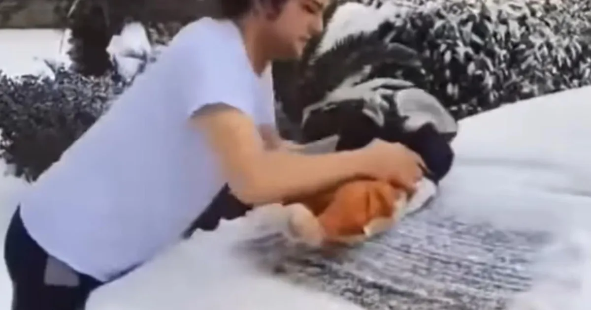 VIDEO ⟩ Texase mees pühkis paarikuuse beebiga auto pealt lund