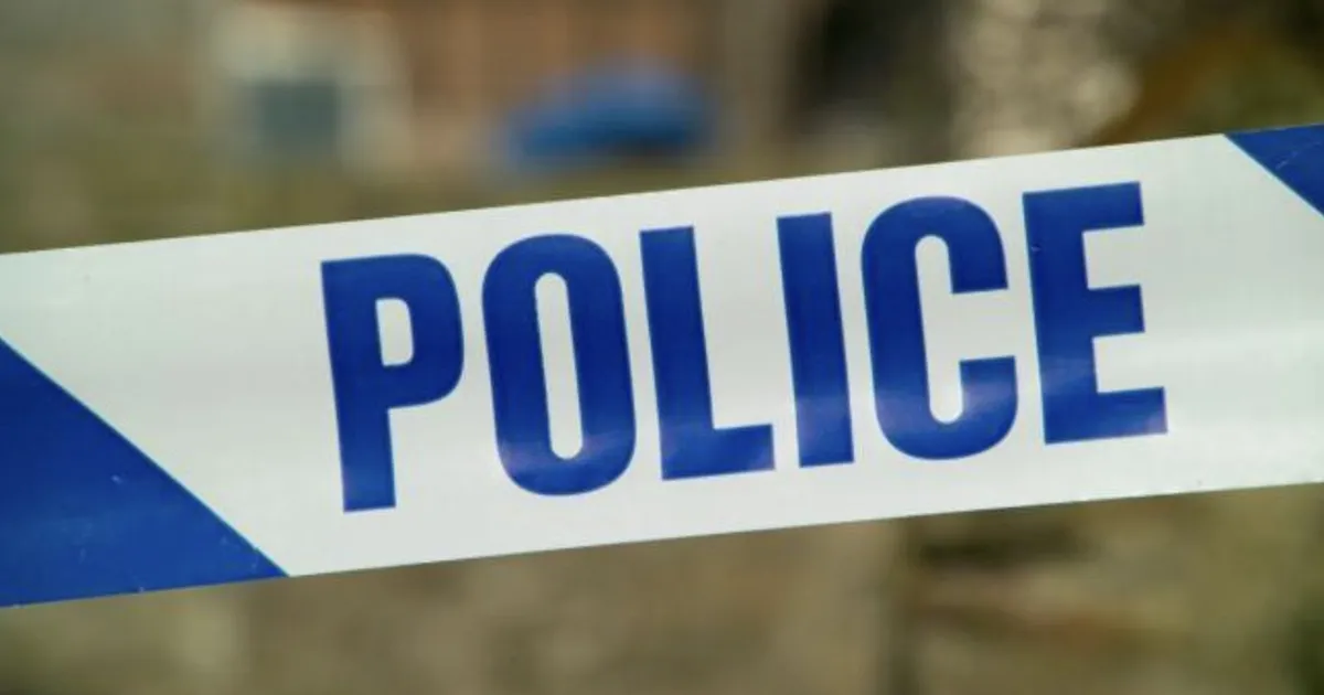 Hiina doktoranti süüdistatakse Londonis vähemalt 10 naise uimastamises, vägistamises ja selle filmises