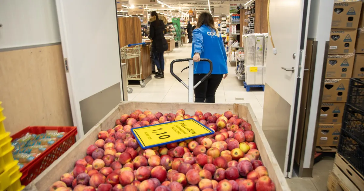 Kaks suurpoodi lõid kampa Polli õunahoidlate tühjaks müümiseks