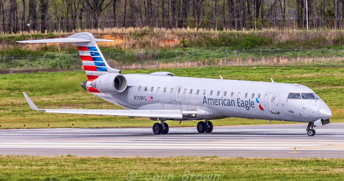 Koer päästis iluuisutaja lennukatastroofist