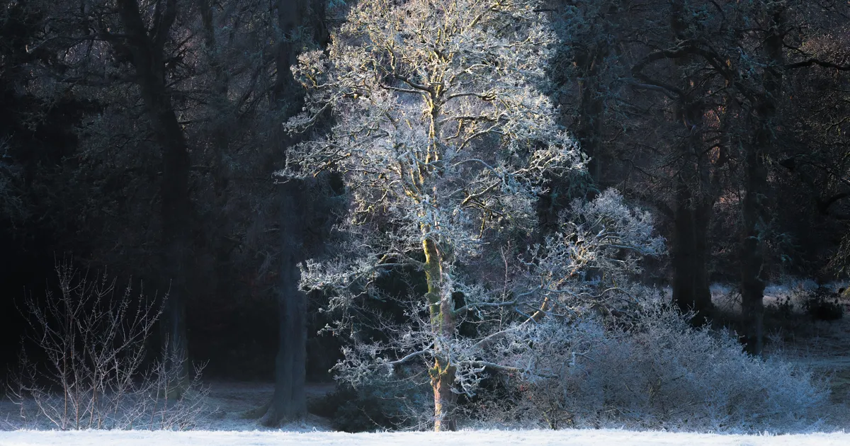 KUULOOMISE HOROSKOOP ⟩ Alanud on väga lootusrikas kuutsükkel: paljud võivad kogeda õnnelikke uusi algusi