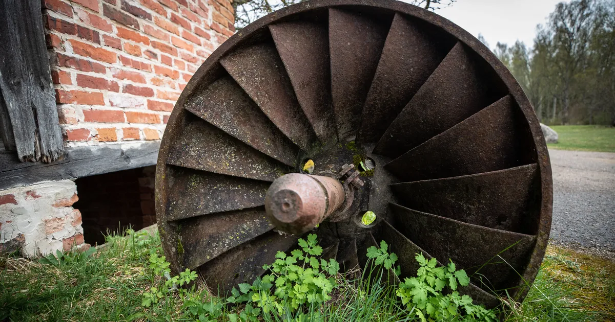 LAURI VAHTRE ⟩ Elu nagu muinasjutus – kuidas kilplased süsinikku püüdsid