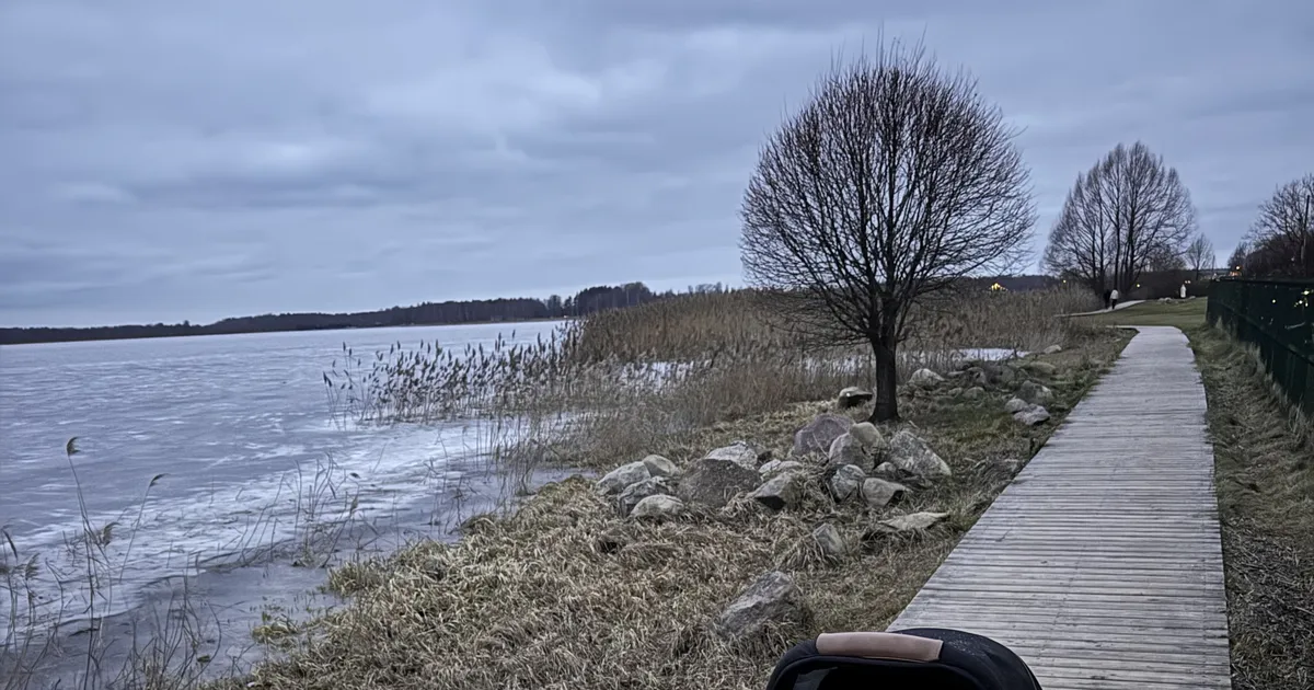 VIDEO ⟩ «Minu kui tallinlase jaoks on see ehmatav!» Rahulikku jalutuskäiku häiris paugutamine