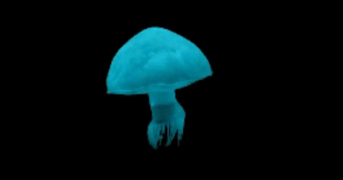 Teadlased ehitasid robot-meduusi, milles aku voolab nagu veri