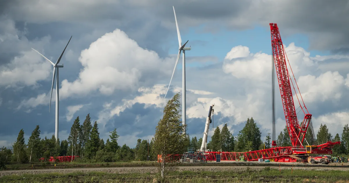 URMAS REIMANN ⟩ Tuulikute jälgi ajades – kuidas avastasin tagaaeda rajatava tuulepargi