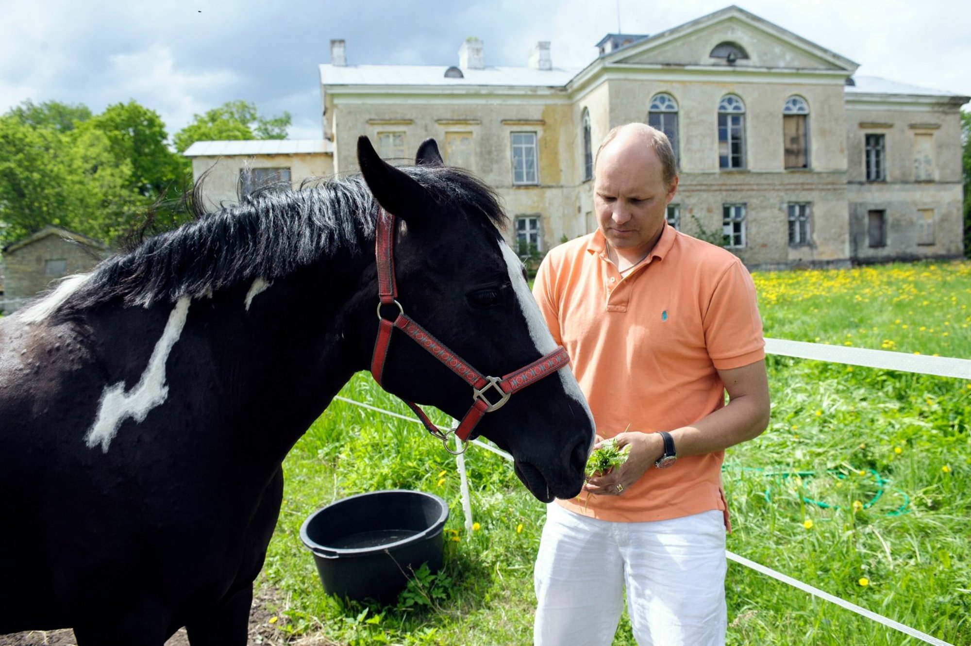 Saaga jätkub! Ontika mõisa omanike lahutusprotsess on pausil, sest avalduses esines puudusi