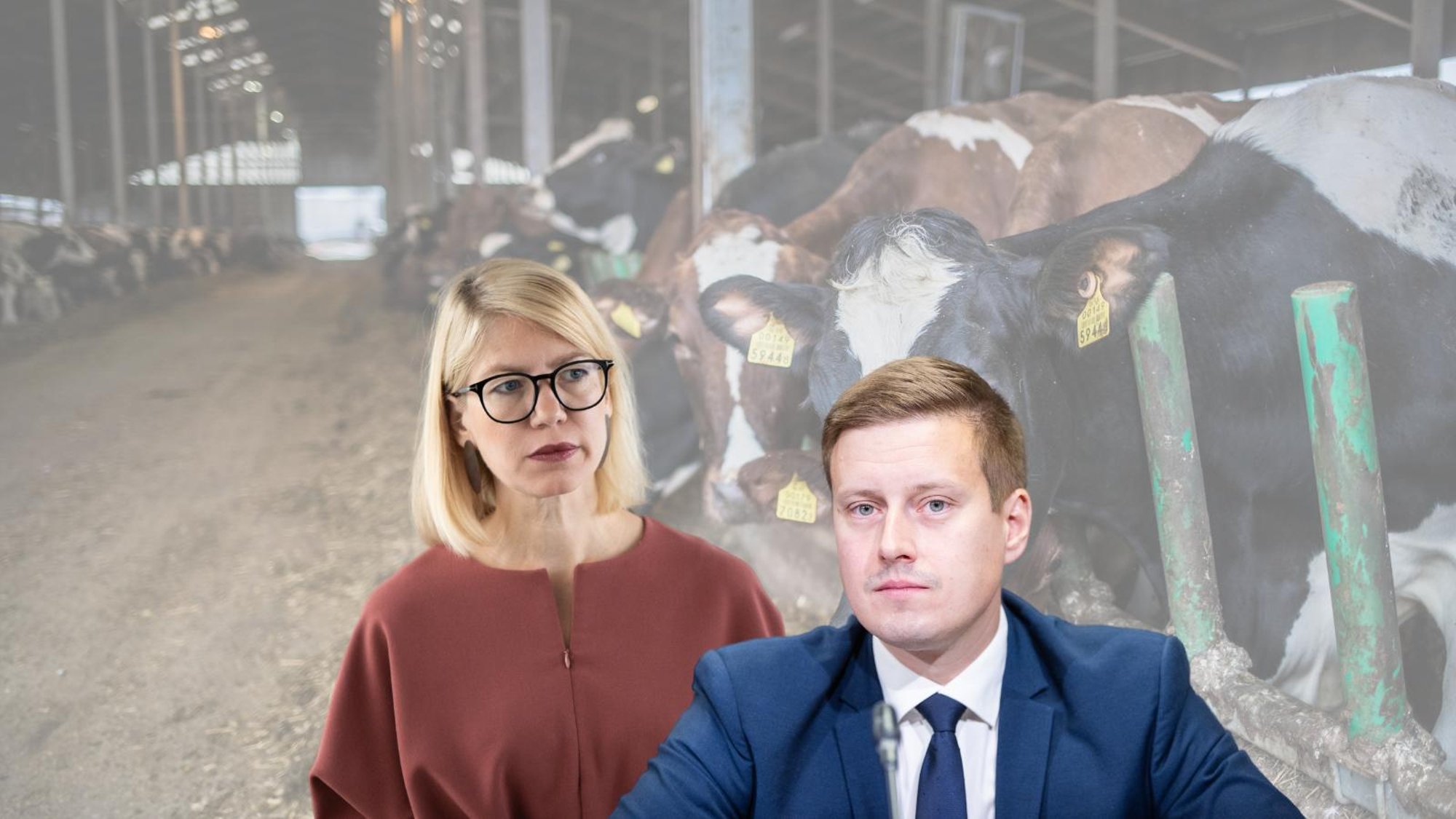 Sahistatakse, et Tartu Agro maad jagatakse 51 tükiks ja renditakse välja. Hartman: see on Keldo tegemata töö