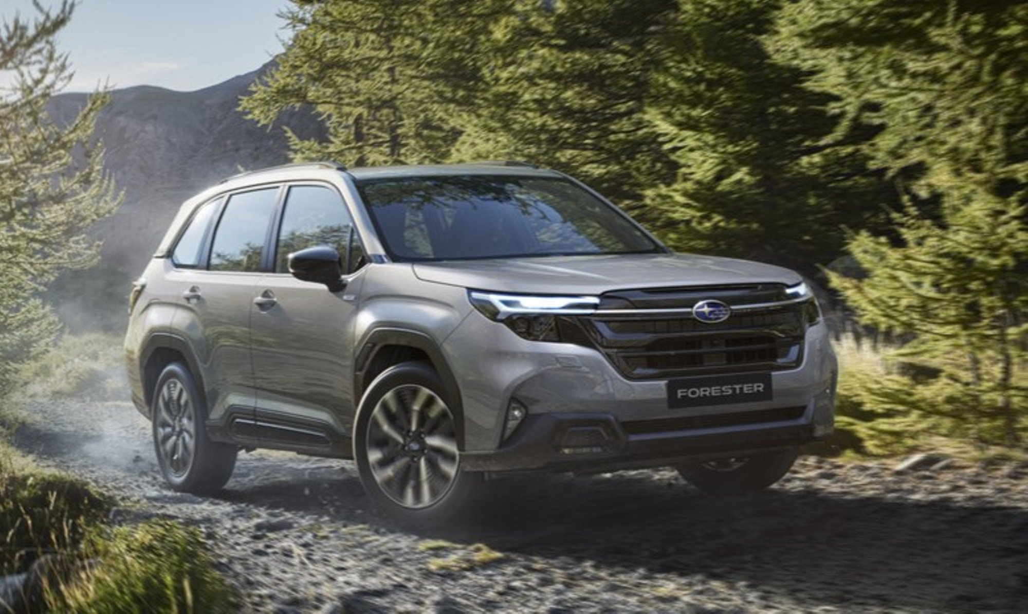 Forester, julgelt endisel suunal