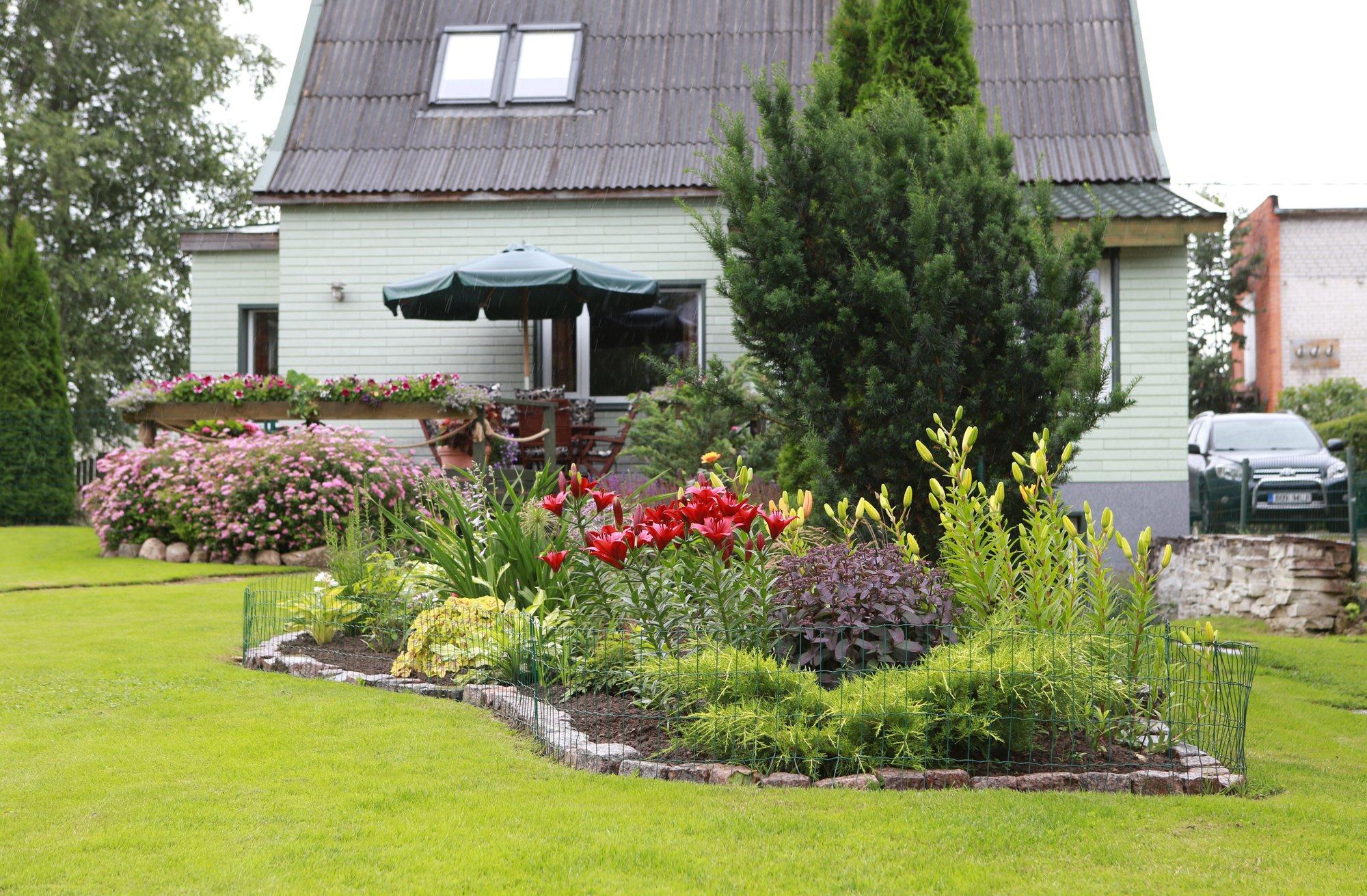 Perekond Roosinupu aed Raplas on kevadest sügiseni õievahus