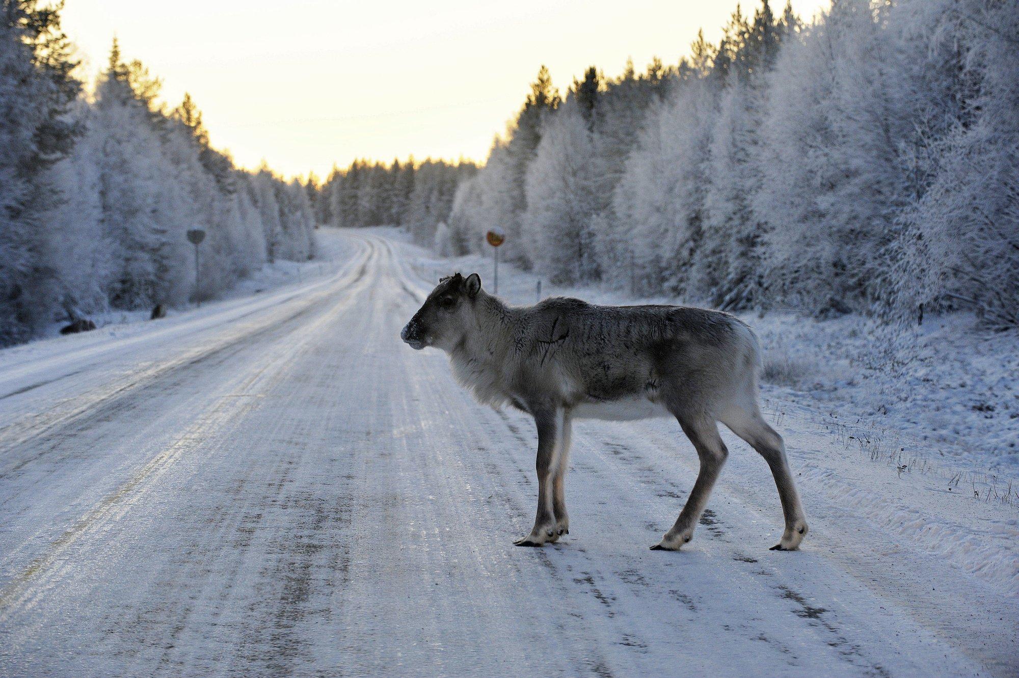 Soomlased on hädas turistidega, kes ei oska lumega sõita