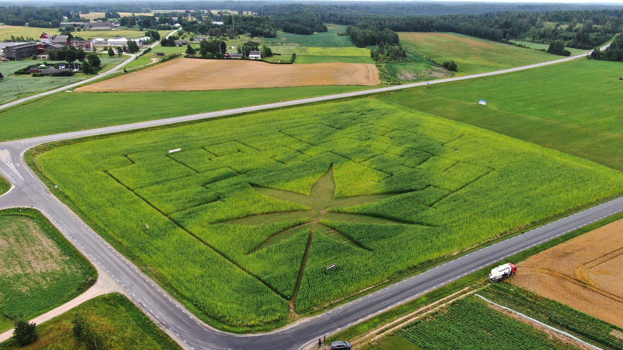 Helget tulevikku Kanepile!