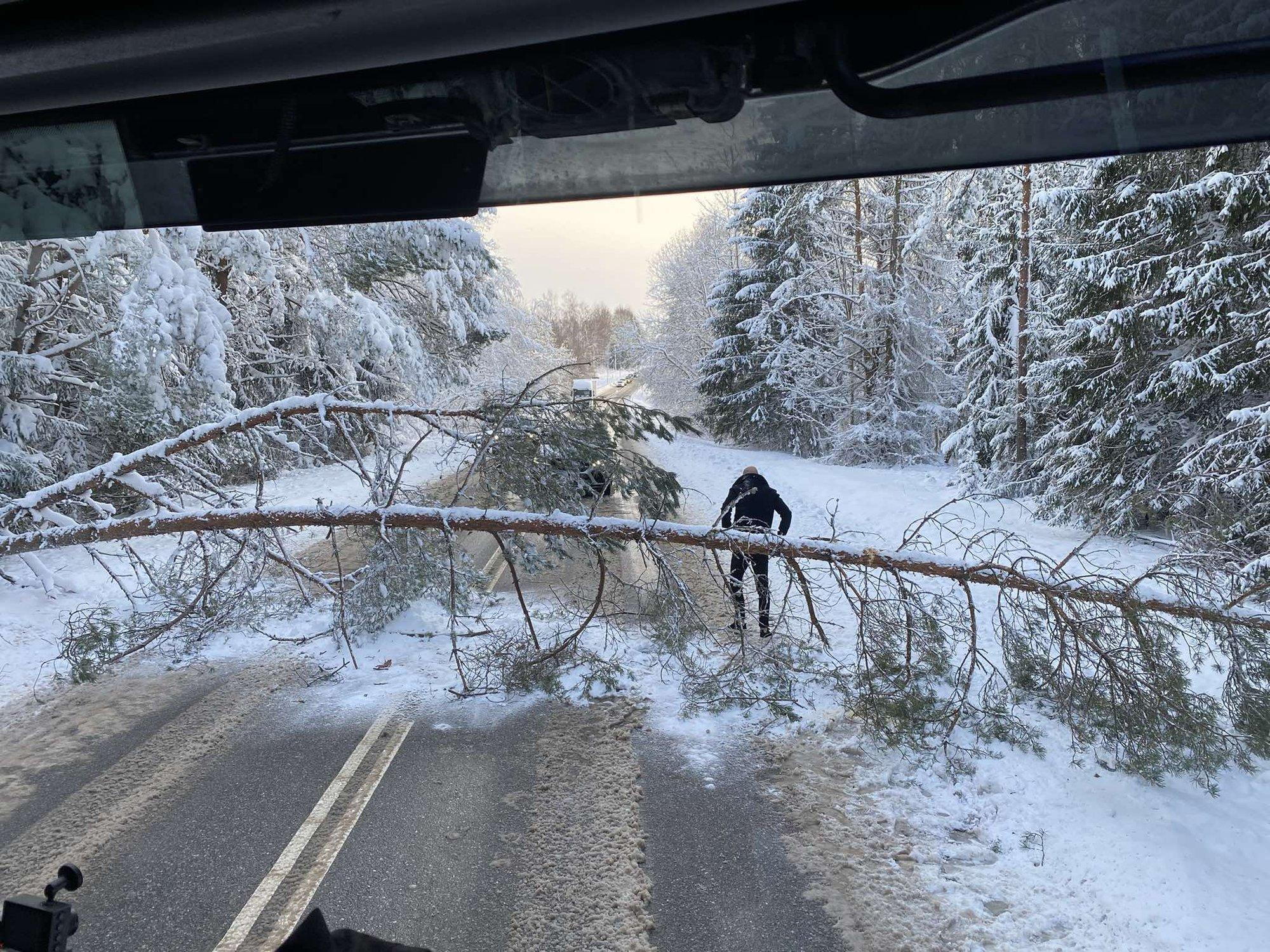 ILMATEADE | Briti saari räsiv ohtlik keeris jõudis Eestisse, puhub tormituul