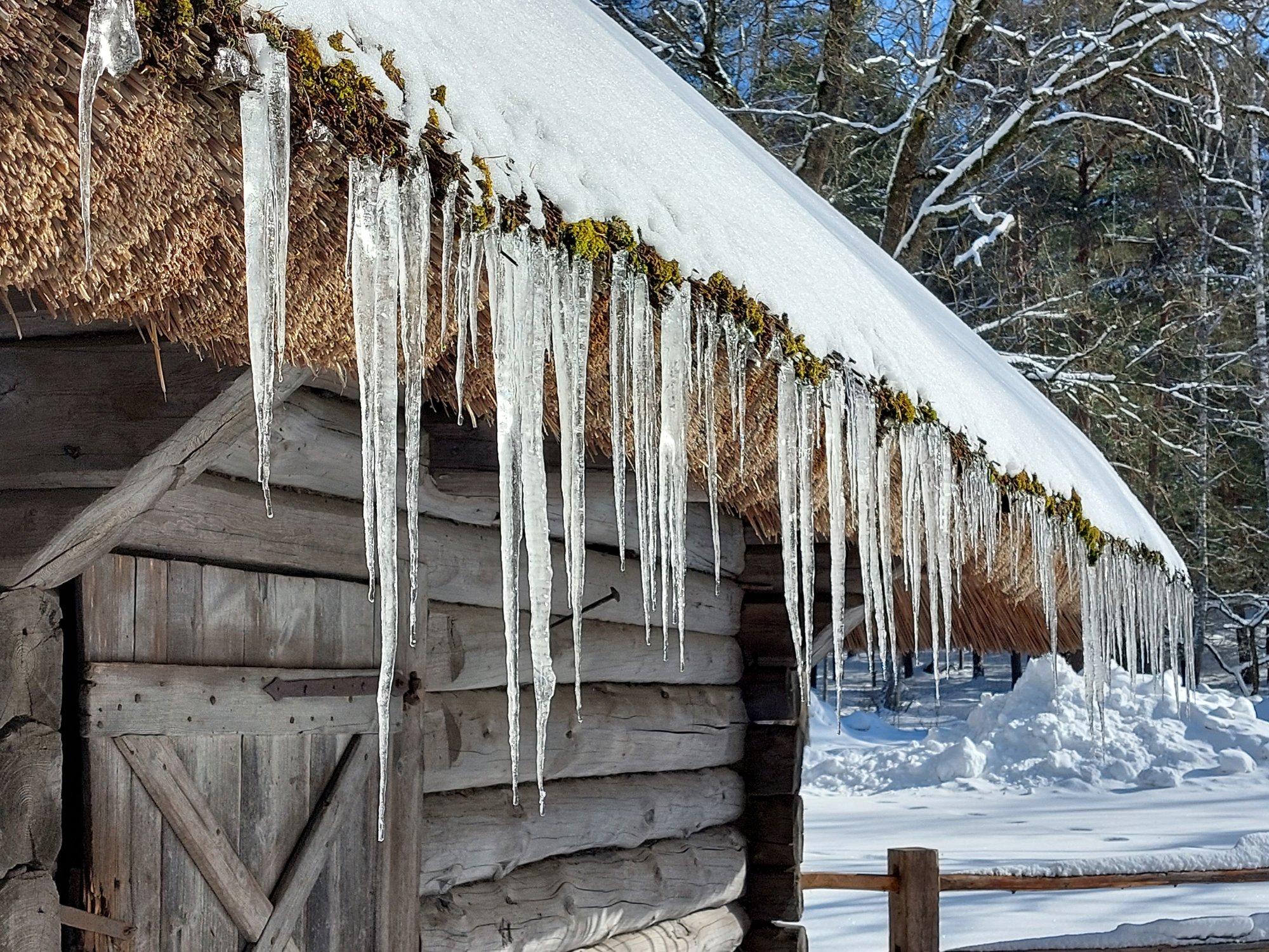 Radokuu ehk veebruar