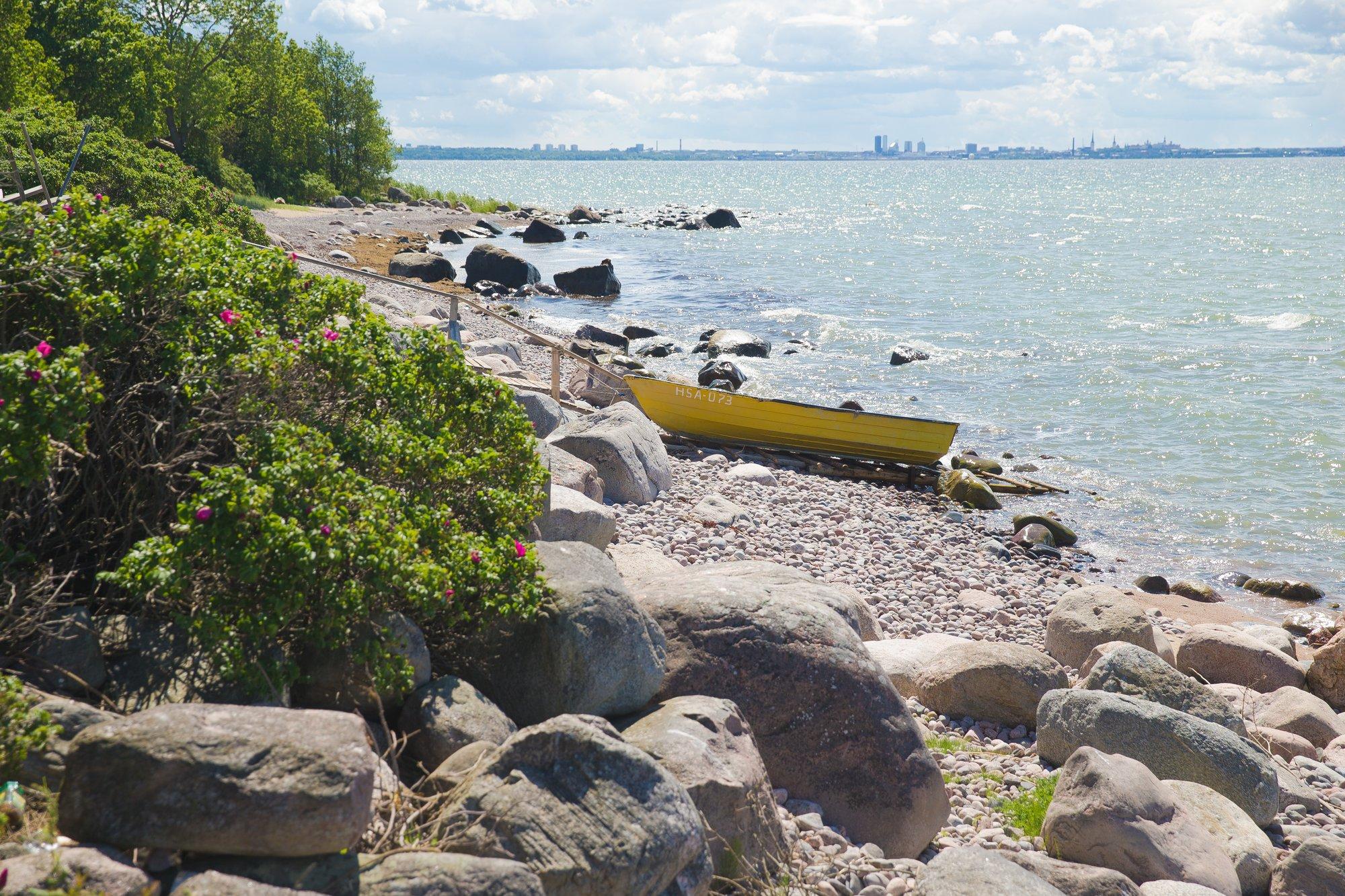 Head uudised: Eesti välisõhk on järjest puhtam