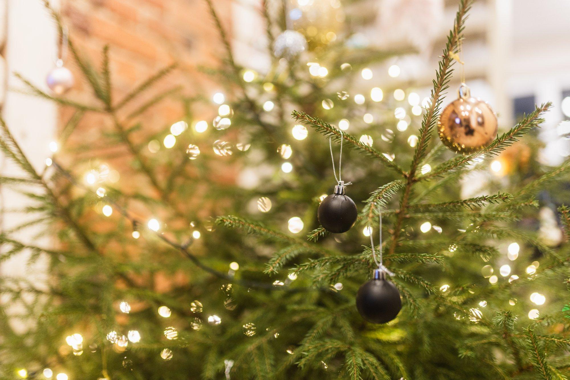 Mida teha vana jõulukuusega? Siin on 11 võimalust