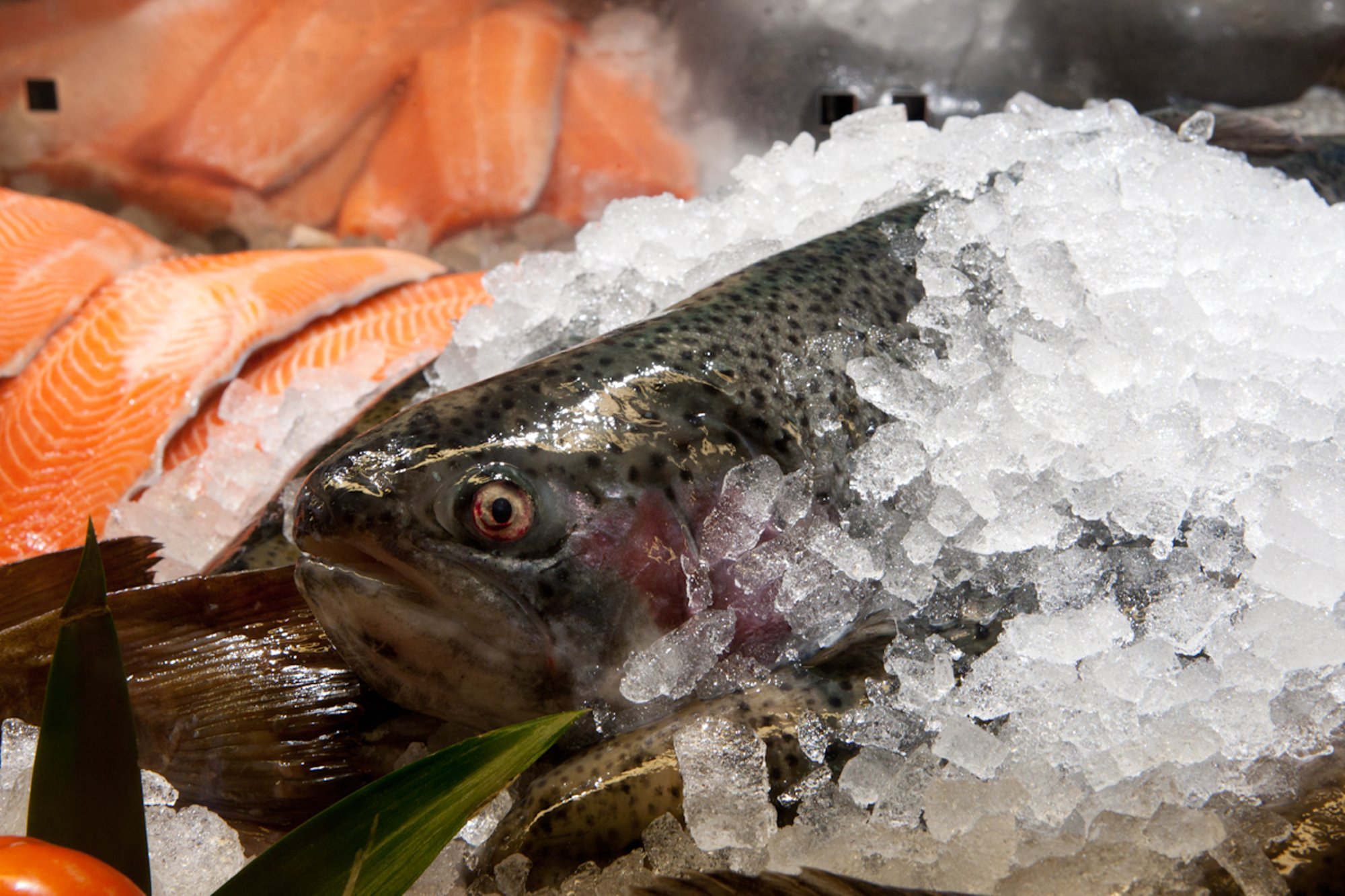 Maksetega hädas kalatööstus PRFoods küsib võlakirjaomanikelt ajapikendust