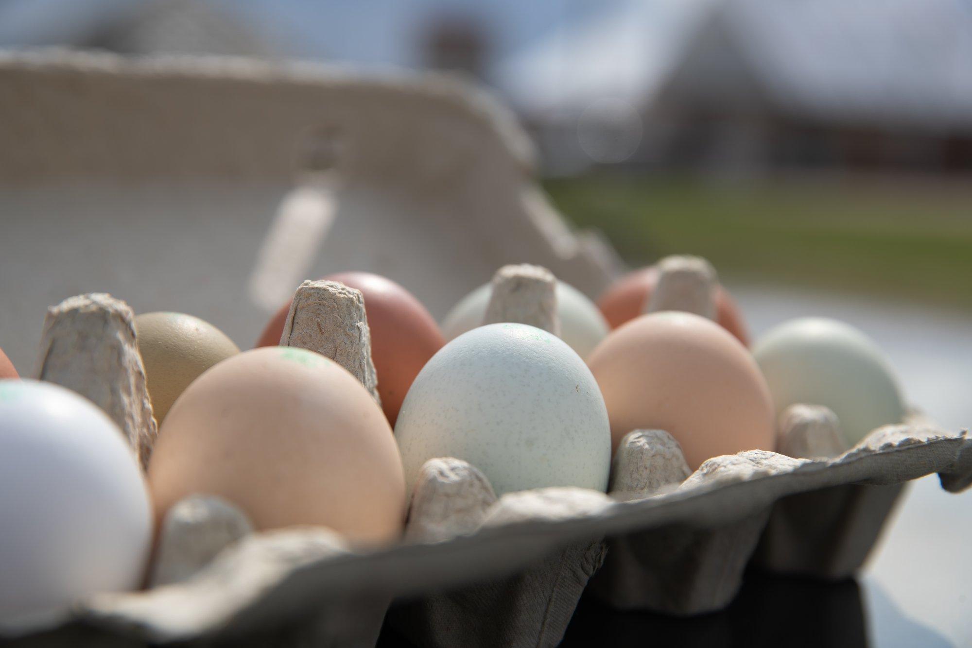 Milline on kõige parem viis munakoore katki löömiseks? Kas sina teed seda noaga, vastu panni serva või töötasapinnale koksides?