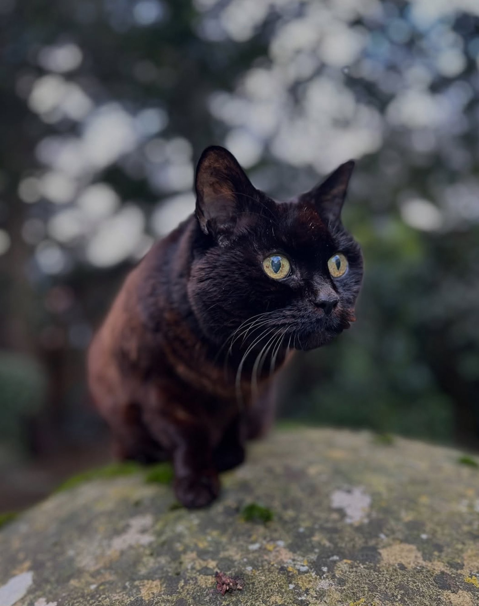 Kuidas nad meid ümber käpa keeravad?