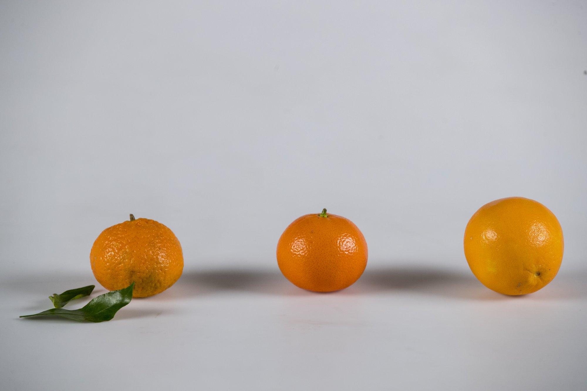 Apelsini vanemad on pomel ja mandariin, aga tsitruselistel on veel huvitavaid sugulussuhteid