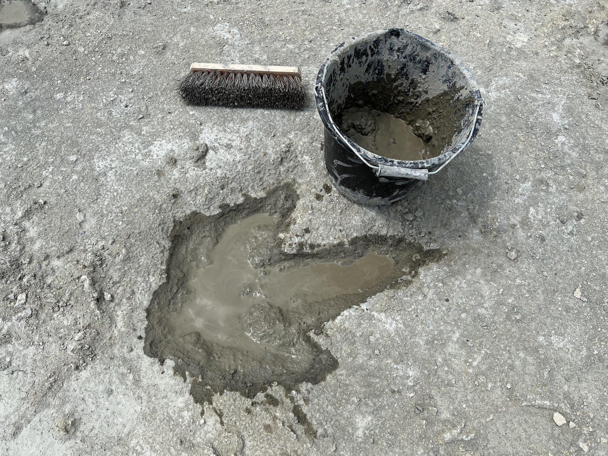 Taimetoidulised ees ja lihasööjad järgi: Suurbritanniast avastati suurim dinosauruste jälgede leiukoht