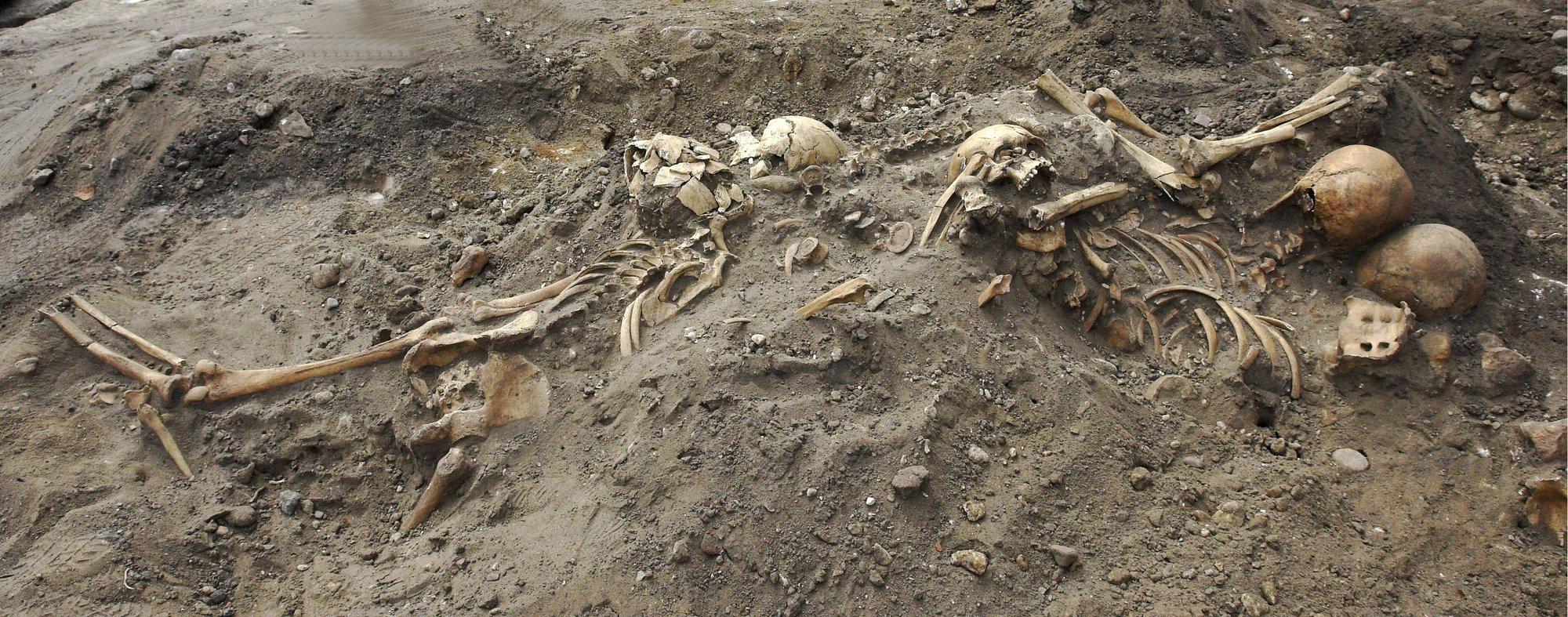 Uus luuanalüüsi meetod võib muuta kogu senist ajalookäsitlust, väidavad teadlased