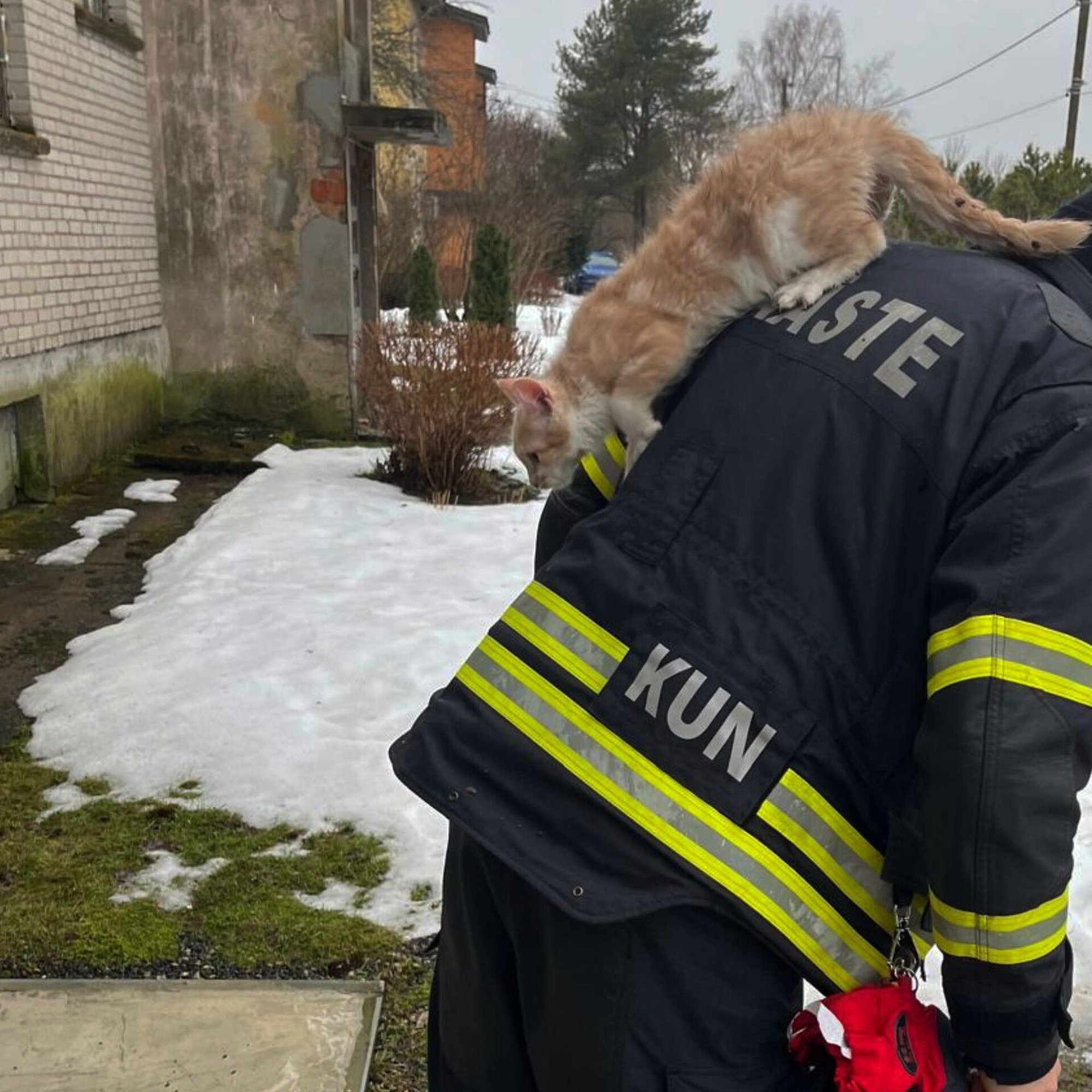 LÕBUS VIDEO | Kass Joosu aitas Kunda päästjatel suitsuandureid kontrollida