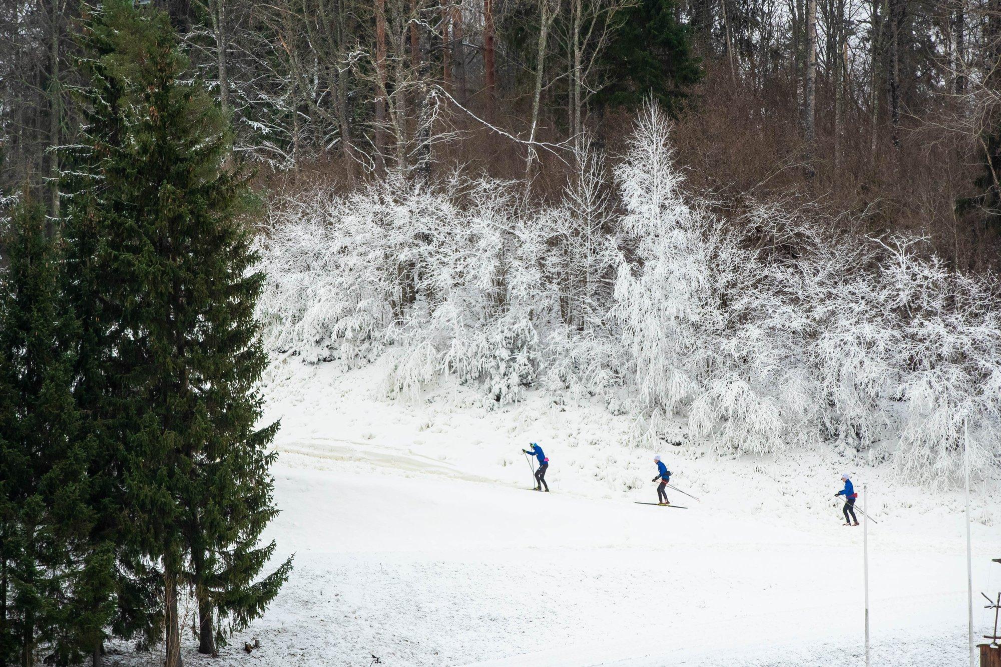 Ekspert vastab: kas suusareisi ajal piisab ravikindlustuskaardist?